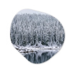 Bos - Reflectie - Meer - Winter - Serene Wandcirkel Organisch Aluminium middel -3d