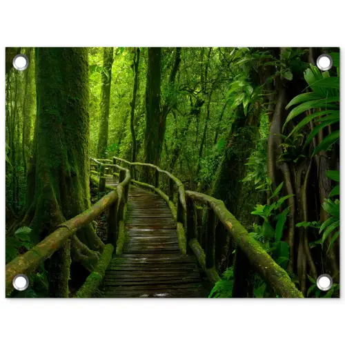 Jungle - Brug - Mos - Natuur - Tropisch tuinposter los doek klein -3d