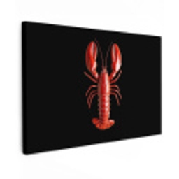 Kreeft - Glossier Rood - Zwart Tuinposter op houten frame 2 cm dik klein -3d