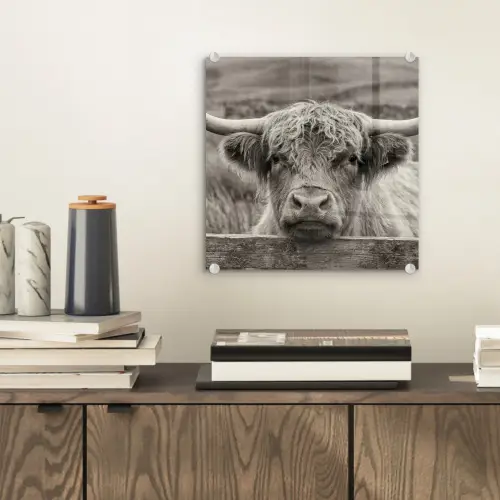 Schotse hooglander - Zwart - Wit - Hout plexiglas 5mm klein -sfeer1