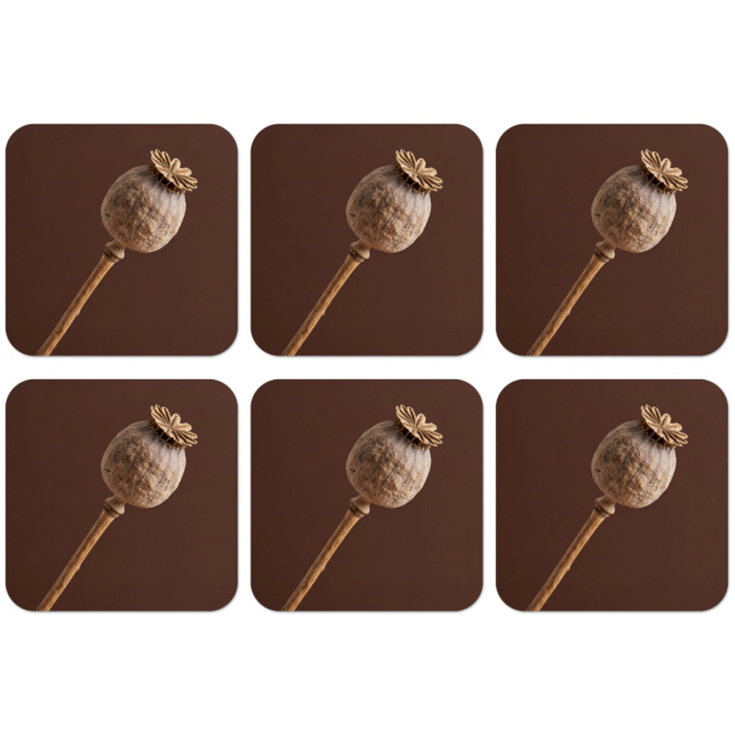 Papaverbol - Droogbloem - Bruin - Minimalistisch onderzetter kurk middel -zkaufland3dotto