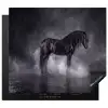 upload-69bd13b01ddfe-crop-3-2-gigapixel-standard-v2-6x Inductie beschermer vinyl 3mm middel -3d