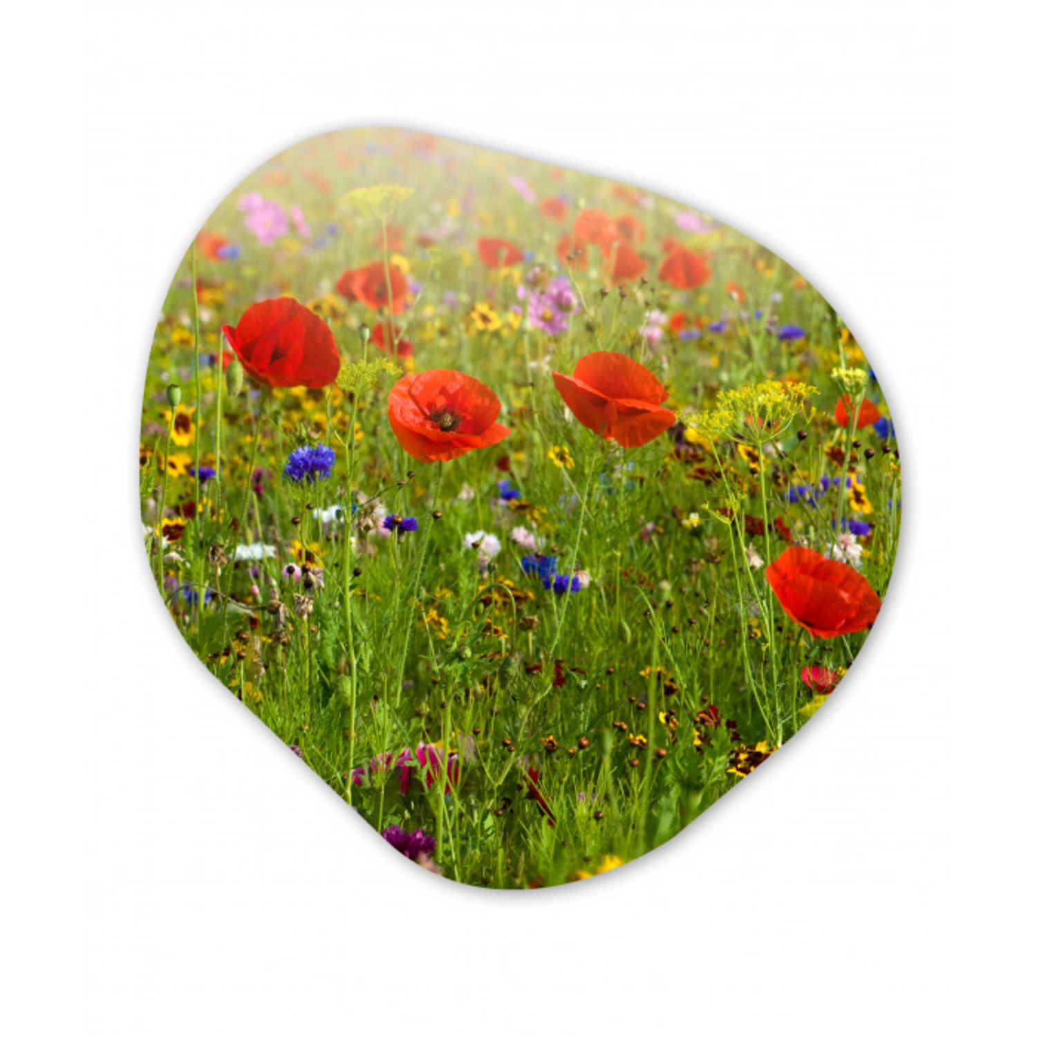 Lente - Bloemen - Rood - Klaproos - Gras - Groen Wandcirkel Organisch Forex 3mm klein -3d