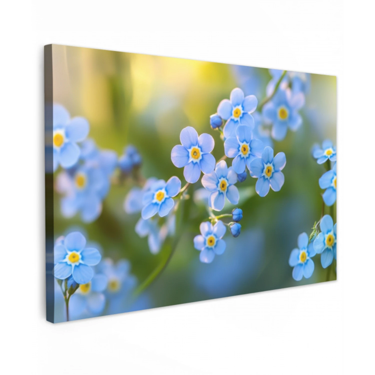 Bloemetjes - Blauw - Vergeet mij nietjes Tuinposter op houten frame 2 cm dik klein -3d