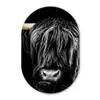 Schotse hooglander - Goud - Vacht - Dieren - Koe Wandcirkel Ovaal Forex klein -3d