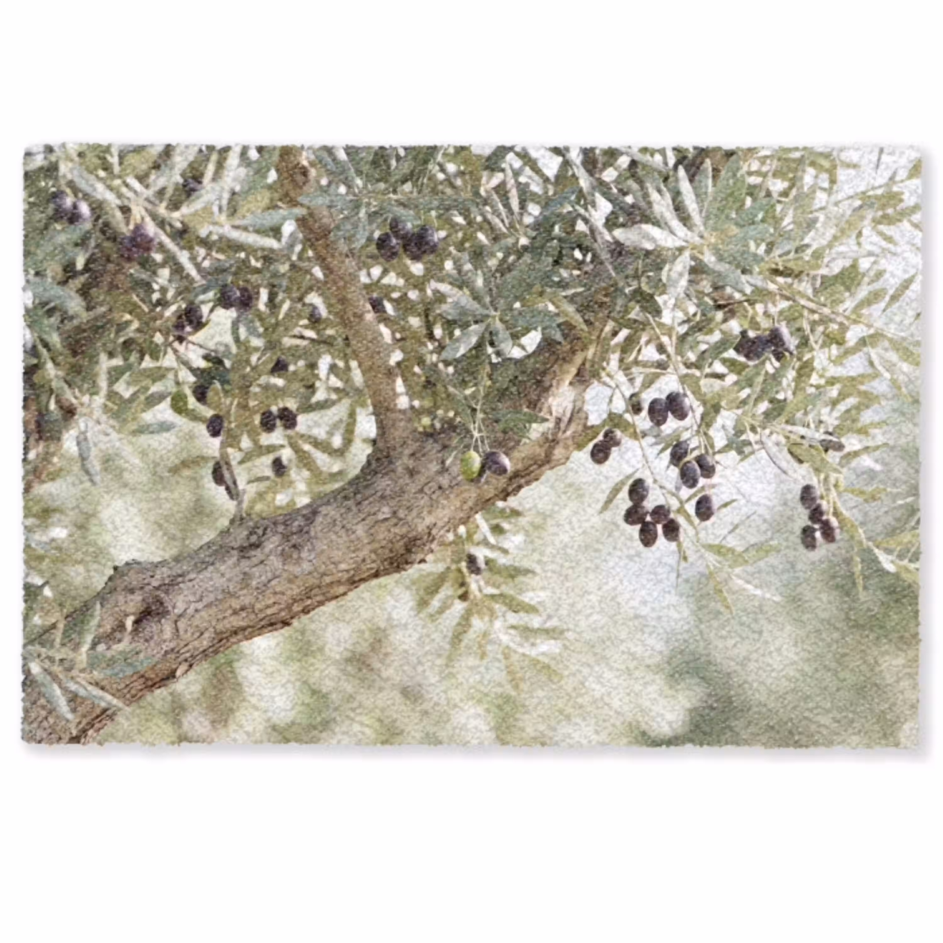 Olijfboom - tak - groen Deurmat klein -zkaufland3d