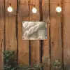 Hazestaartgras - Wit - Zonlicht tuinposter los doek klein -sfeer1