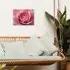 Roze - Roos - Romantisch tuinposter los doek klein -sfeer7