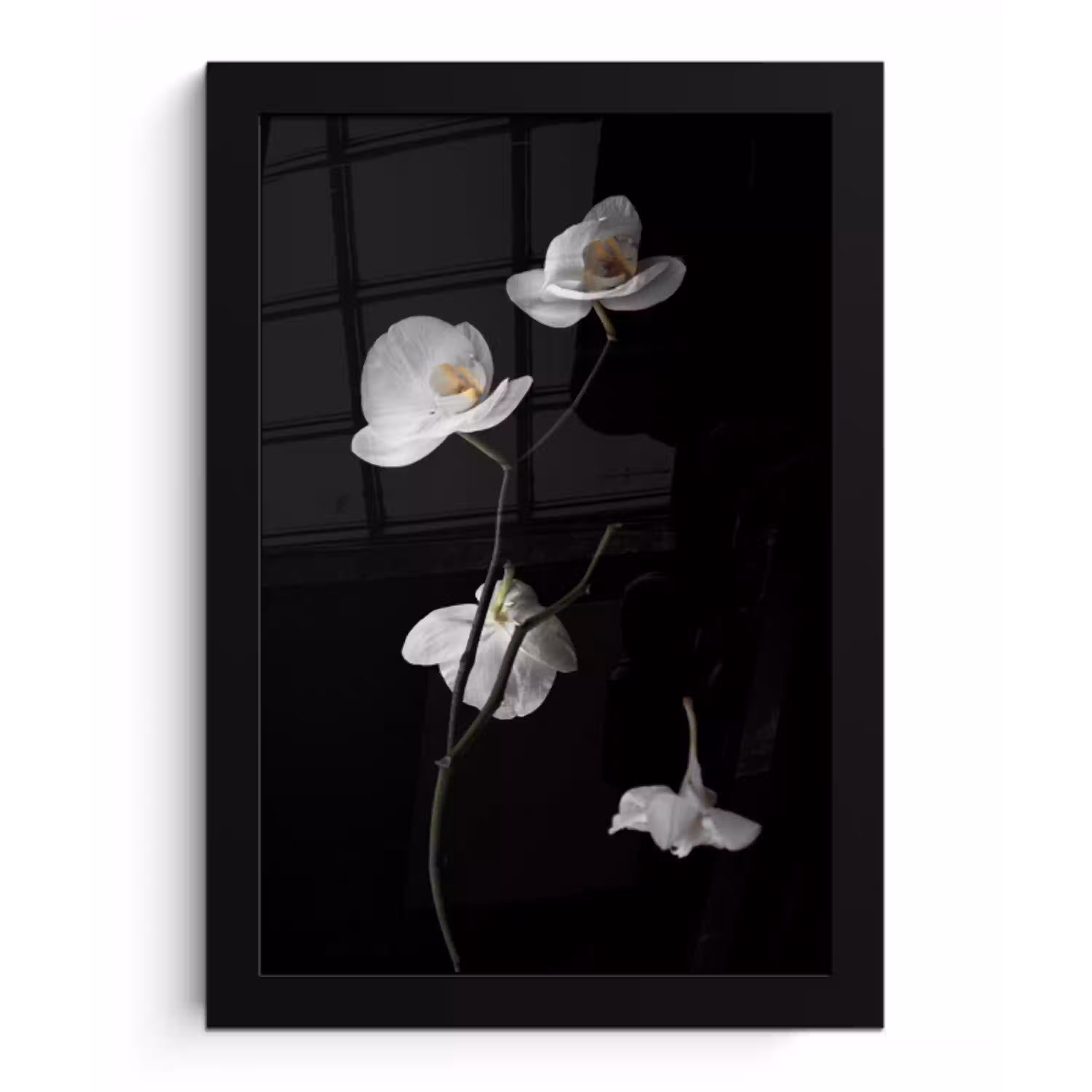 Orchidee - Bloemen - Zwart - Wit - Stilleven fotolijst zwart zonder passe partout klein -3d