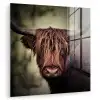 Schotse hooglander - Licht - Portret - Natuur plexiglas 5mm klein -zzzproduct_nieuw