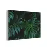 Monstera - Bladeren - Tropisch - Jungle aluminium wit klein -3d