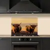 Schotse hooglanders - Heide - Landschap - Dieren keuken achterwand spatscherm klein -sfeer1