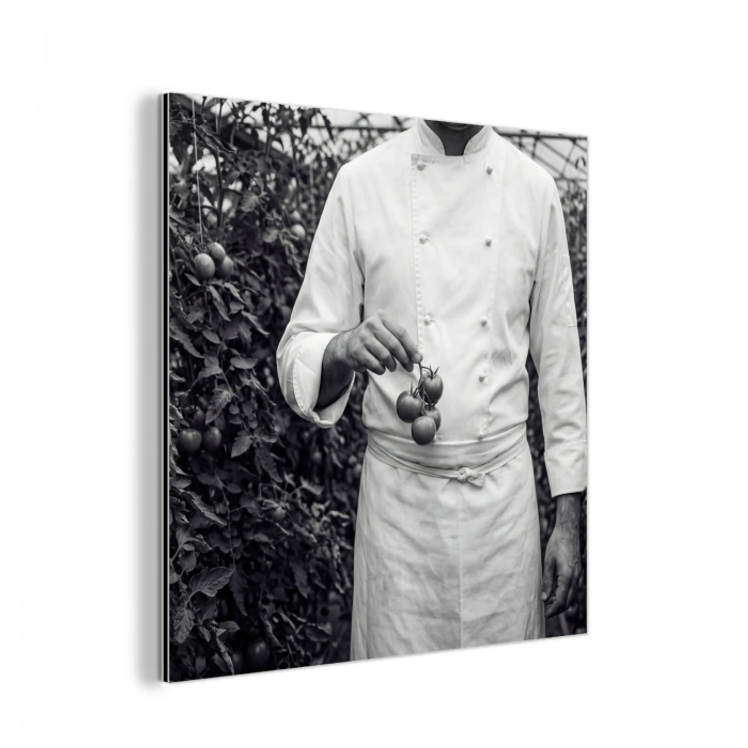 Tomaten - Chef - Zwart - Wit aluminium wit klein -3d