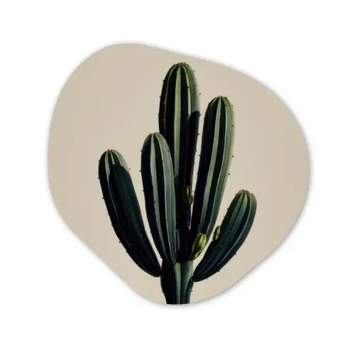 Cactus - Subtiel - Groen Wandcirkel Organisch Forex 3mm klein -3d