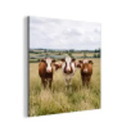 Koeien - Portret - Weide - Boerderij - Nieuwsgierig aluminium wit klein -3d