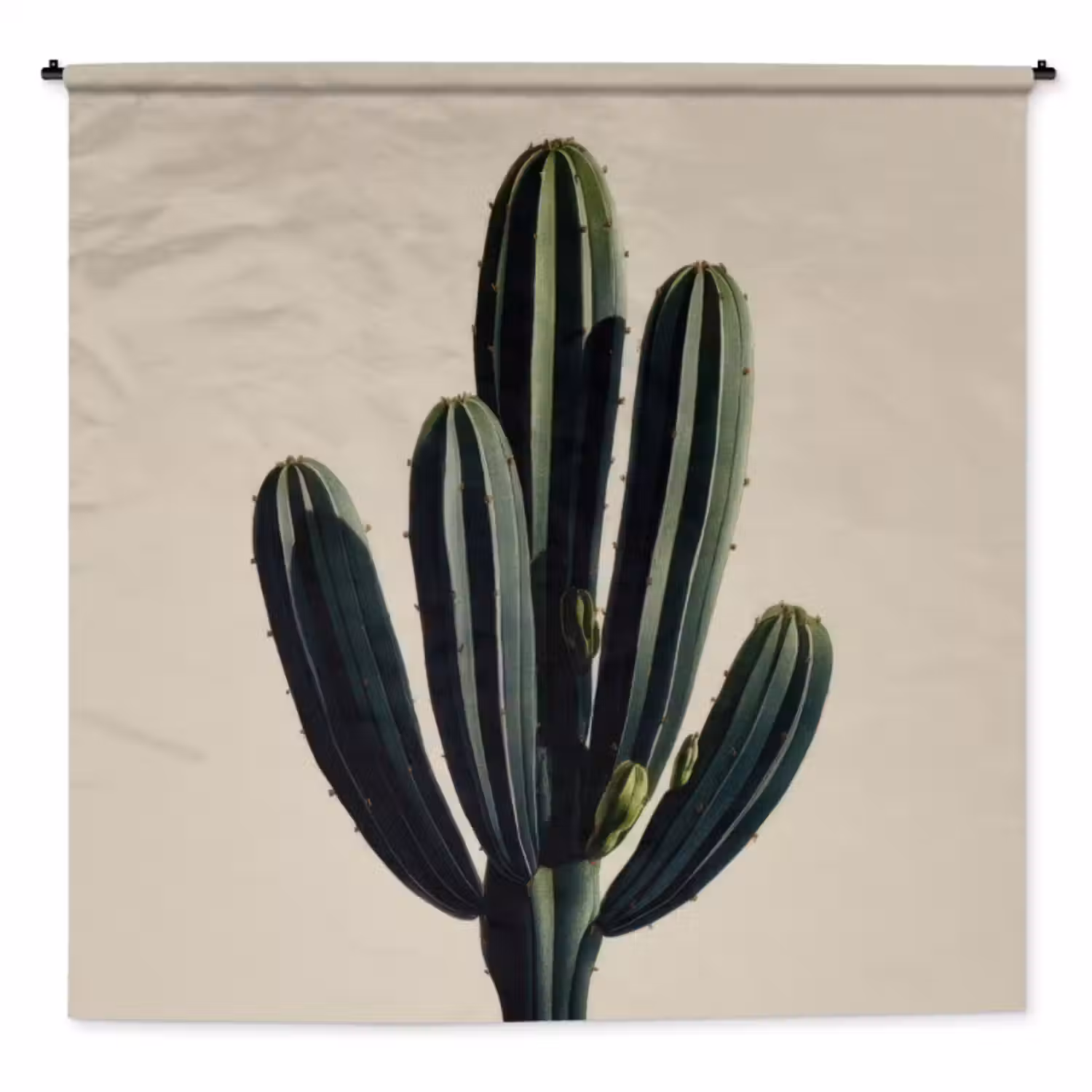 Wandkleed - Cactus - Subtiel - Groen