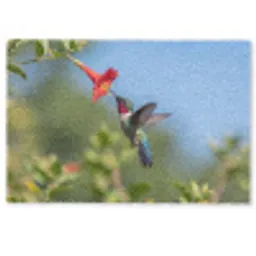 Kolibrie - Bloem - Natuur - Groen Deurmat klein -zkaufland3d