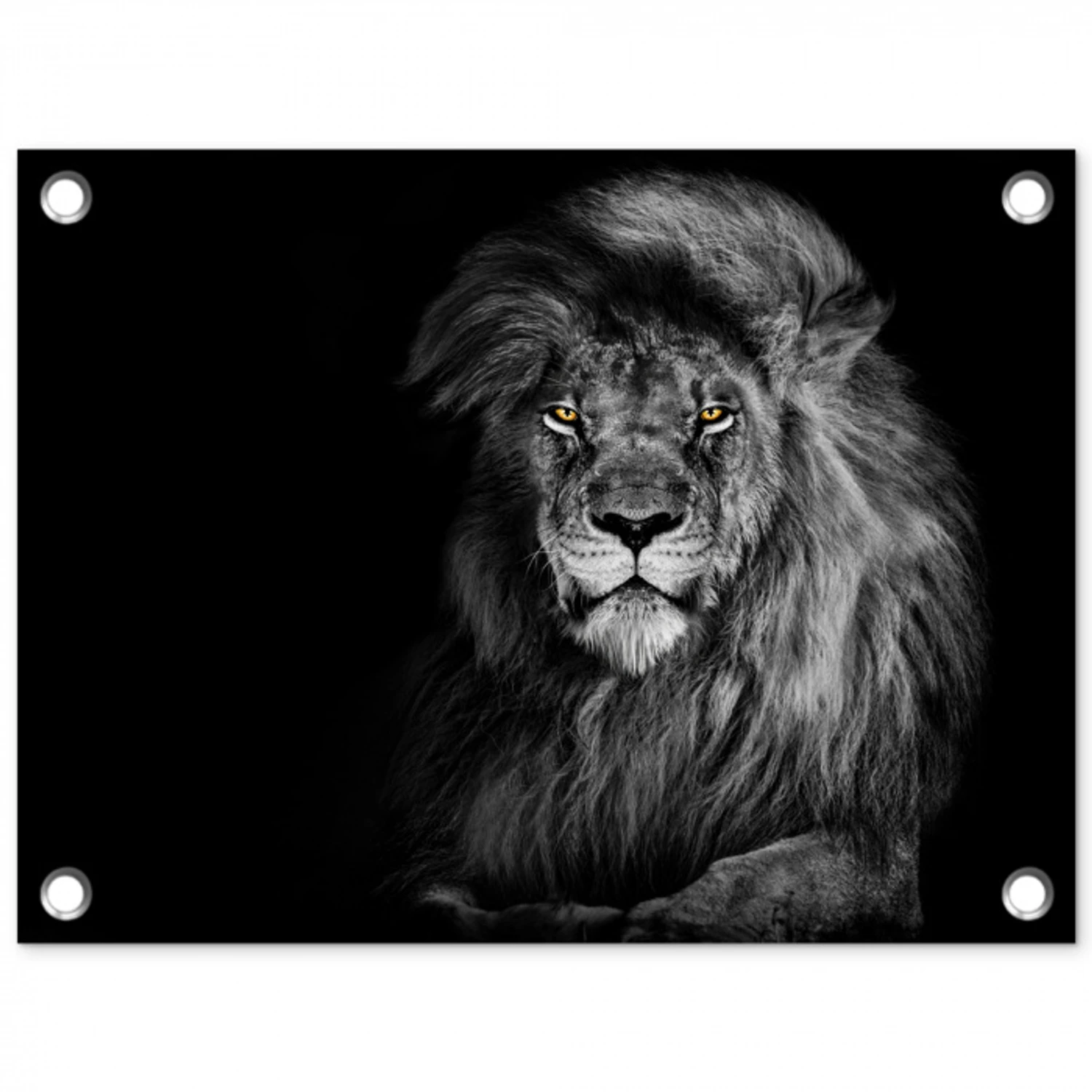 Majestueuze leeuw in de duisternis tuinposter los doek klein -3d