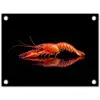 Kreeft - Oranje - Zwart - Opvallend tuinposter los doek klein -3d