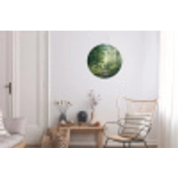 Bos - Pad - Zon - Bomen - Groen - Natuur Wandcirkel aluminium klein -woonkamer