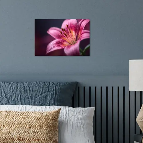 Roze - lelie - Dauwdruppels poster papier klein -sfeer2