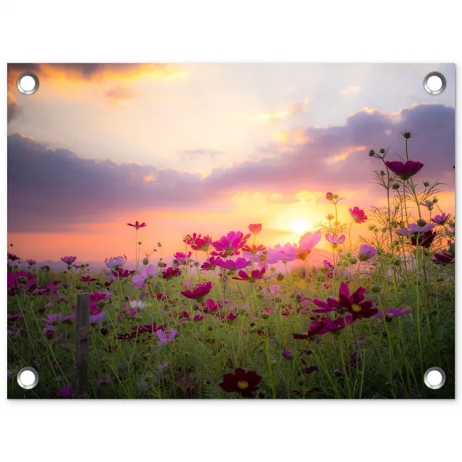 Bloemenveld bij zonsondergang tuinposter los doek klein -3d