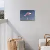 Dolfijn - Roze - Astronaut tuinposter los doek klein -sfeer8