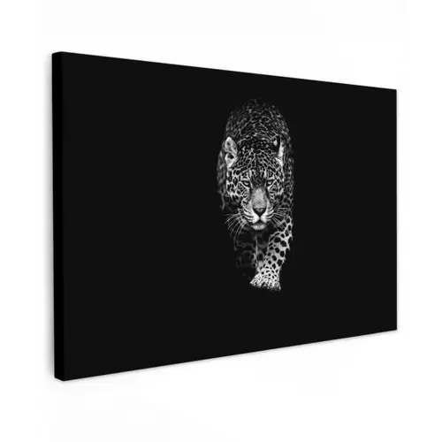 Dieren - Zwart - Luipaard - Wit - Wild canvas 2cm klein -z3d