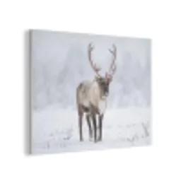Rendier - Gewei - Toendra - Sneeuw - Wild PET vilt klein -3d