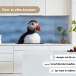 Papegaaiduiker - Portret - Natuur keuken achterwand 2 middel -sfeer4_NL