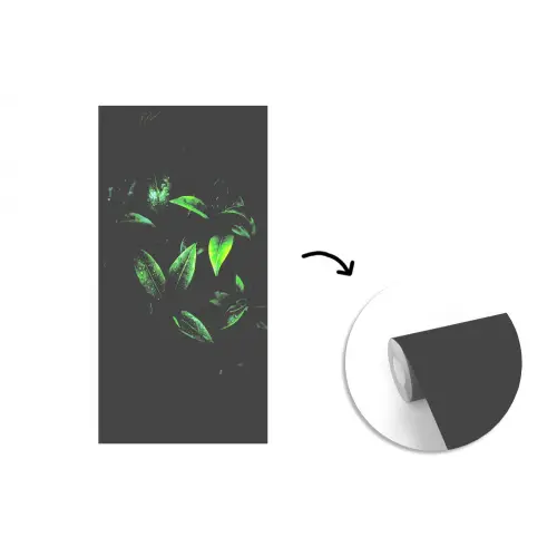 Bladeren - Regendruppels - Licht - Groen fotobehang vinyl groot -3d