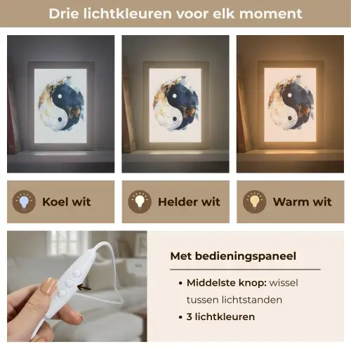 Yin Yang - Abstract - Zwart - Wit - Goud Light Box met kabel (Tafellamp) klein -USP_lichtkleurNL