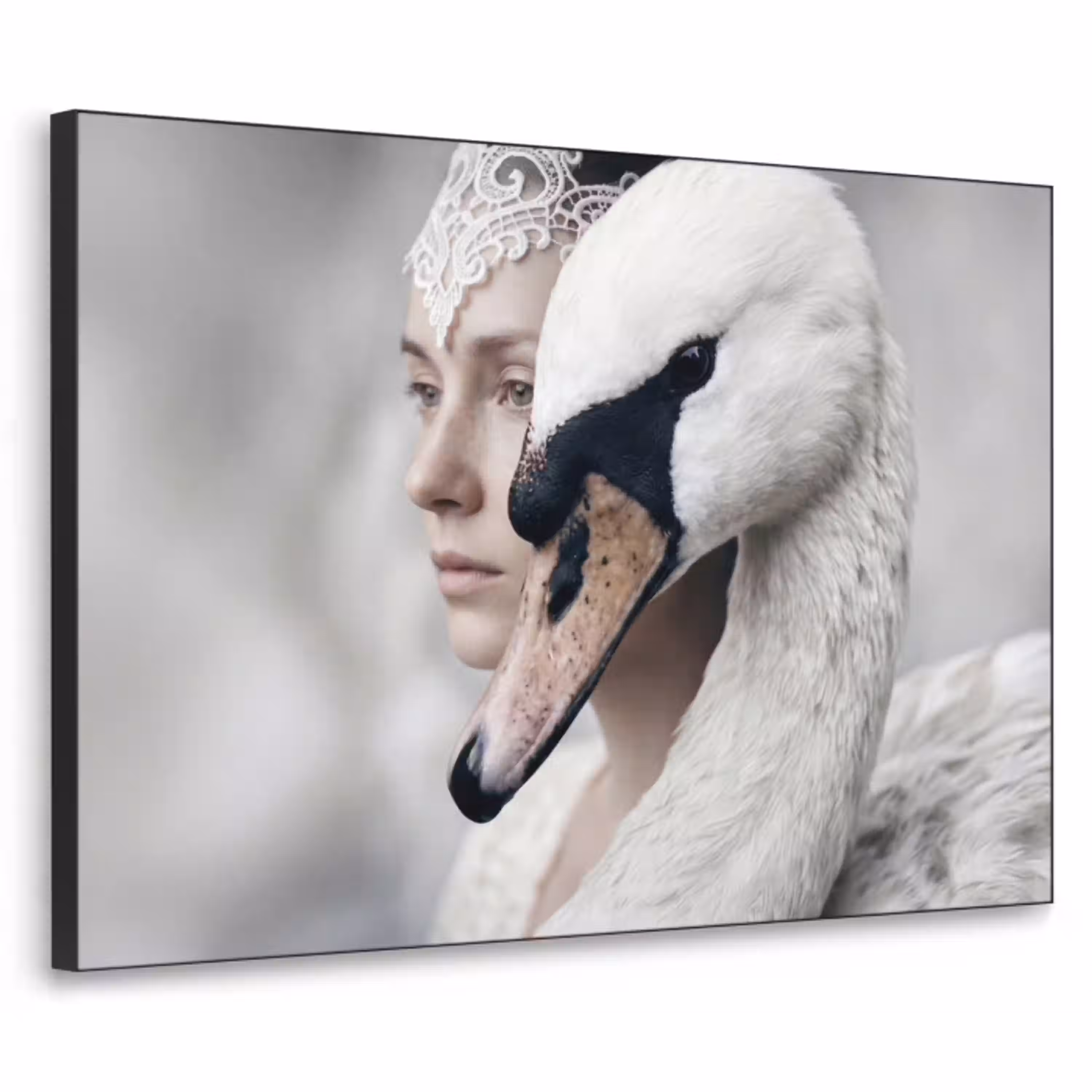Vrouw - Zwaan - Wit Textielframe zwart klein -3d