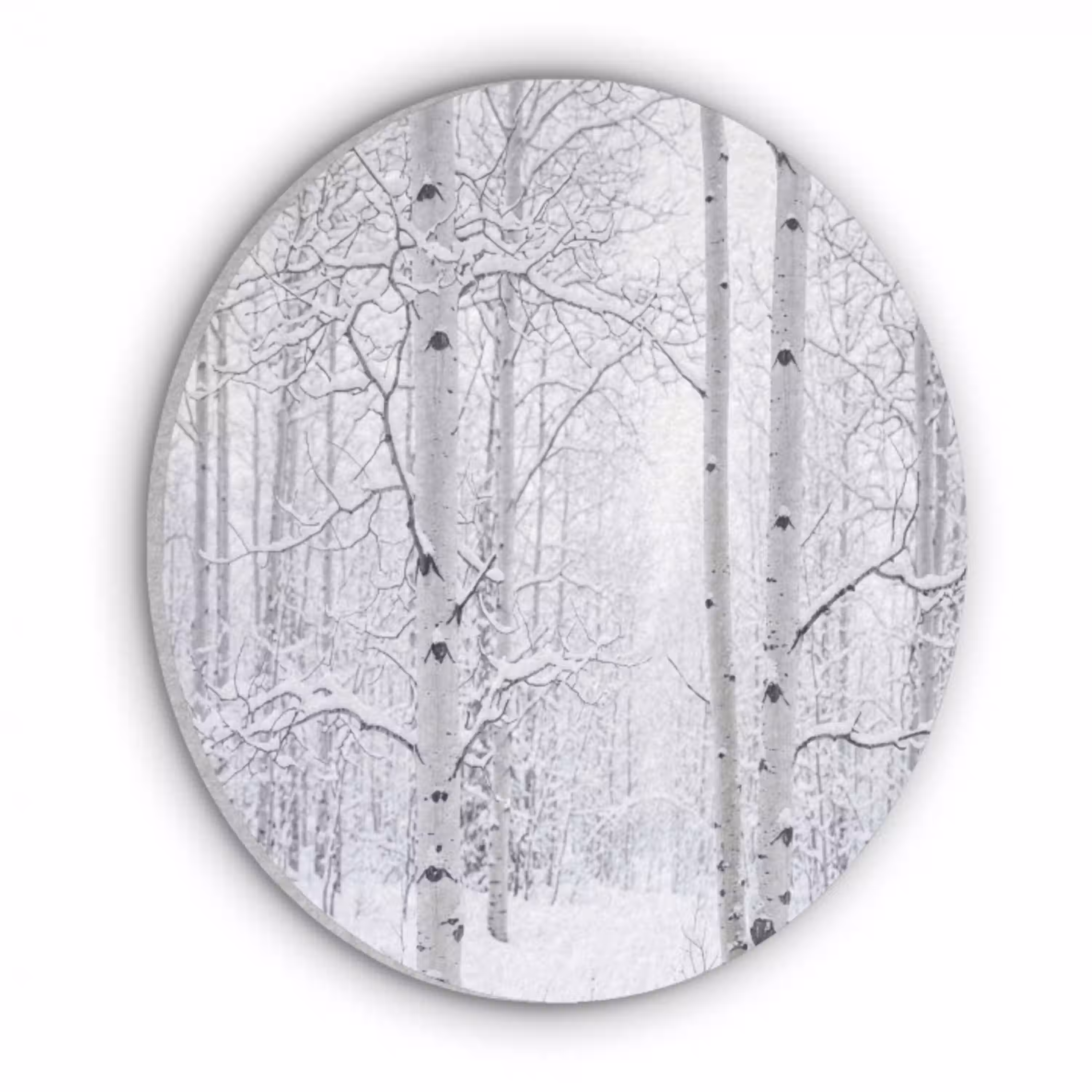 Berkenbomen - Sneeuw - Winter - Bos - Wit Akoestische PET Vilt - Rond klein -3d