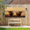 Schotse hooglanders - Heide - Landschap - Dieren Tuinposter op houten frame 2 cm dik xxl -sfeer4