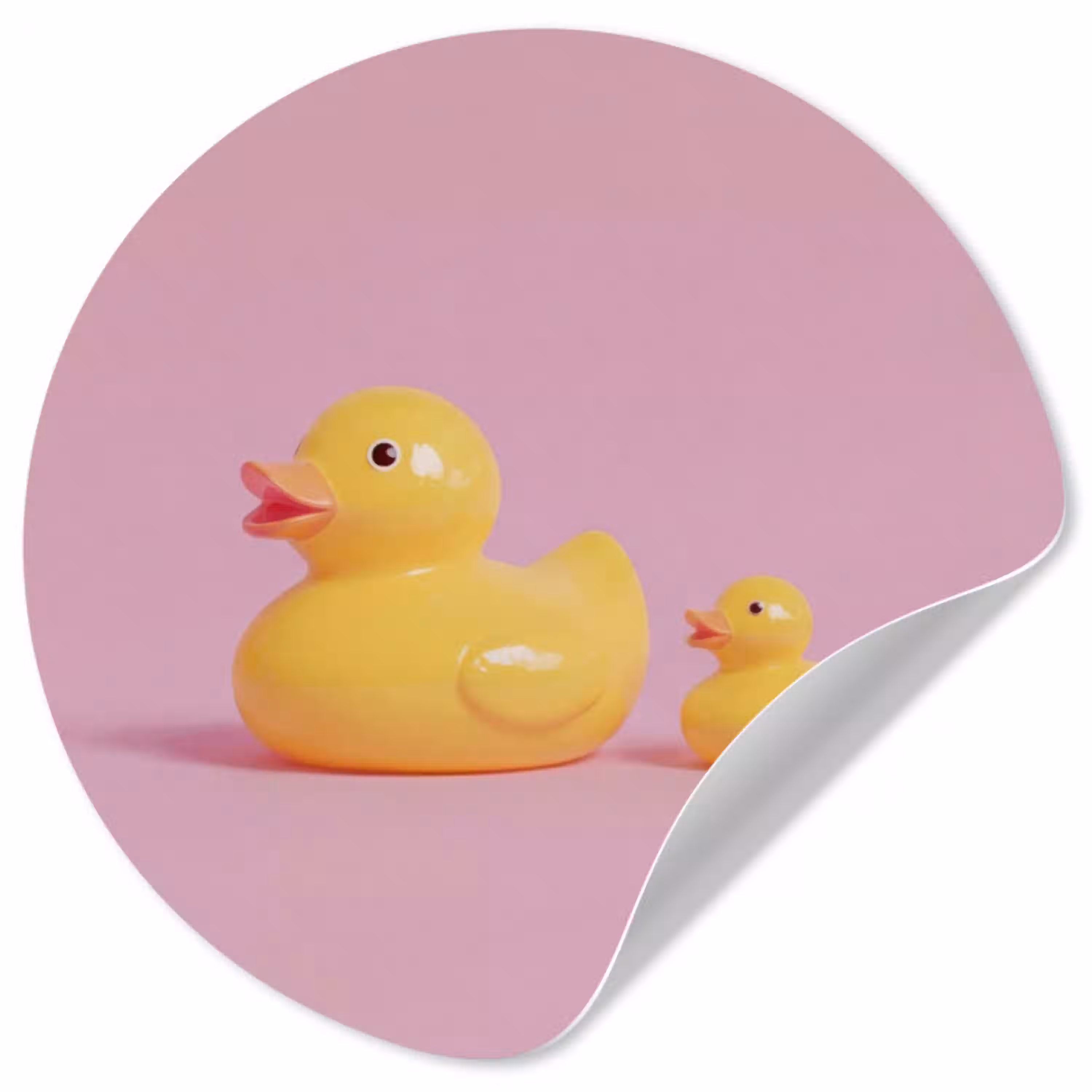 Eendjes - Vrolijk - Roze Wandcirkel behangsticker klein -3d