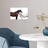 Paard - Modern - Balans poster papier klein -sfeer3