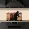 Paard - Zonsondergang - Bruin keuken achterwand spatscherm klein -sfeer1