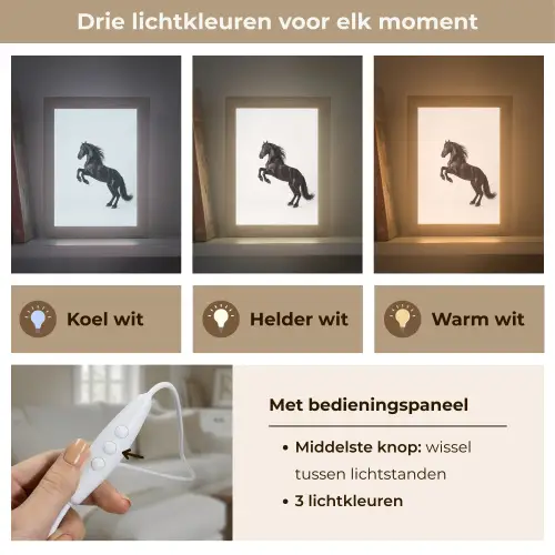 Zwart - Paard - Portret Light Box met kabel (Tafellamp) klein -USP_lichtkleurNL