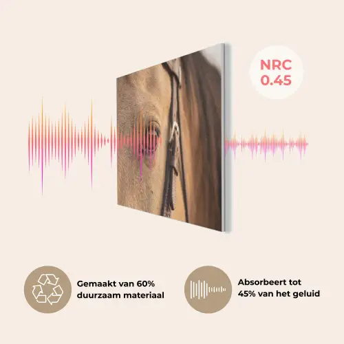 Paard - Oog - Bruin PET vilt klein -USP_NL