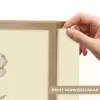 Klaproos - Illustratie - Zwart Light Box met batterij (Wandlamp) middel -USP_websiteprintNL