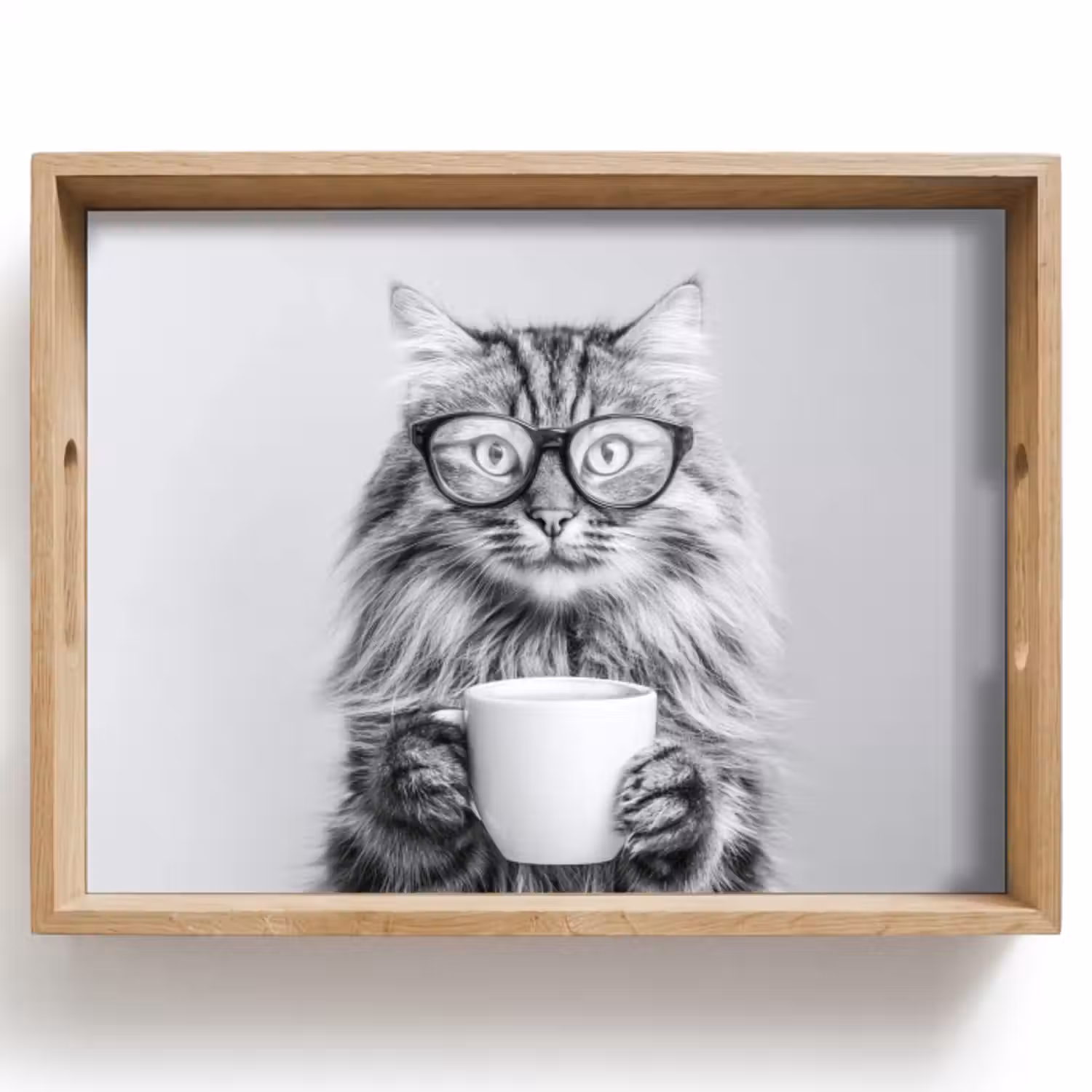 Dienblad - Kat - Bril - Mok - Pluizig