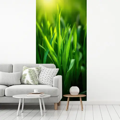 Grassprieten - Lichtinval - Groen fotobehang vinyl groot -woonkamer