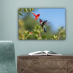 Kolibrie - Bloem - Natuur - Groen canvas 2cm klein -sfeer4