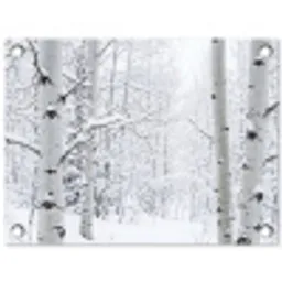 Berkenbomen - Sneeuw - Winter - Bos - Wit tuinposter los doek klein -3d