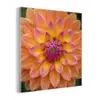 Dahlia - Bloem - Oranje plexiglas 5mm klein -z3d