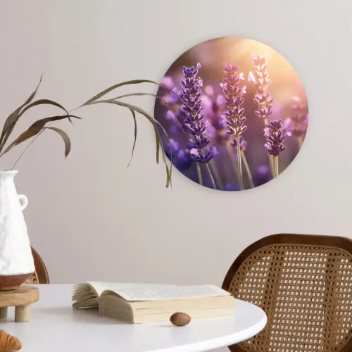 Lavendelbloemen - Paars - Zonlicht Wandcirkel kunststof plaat 5mm dik klein -sfeer4