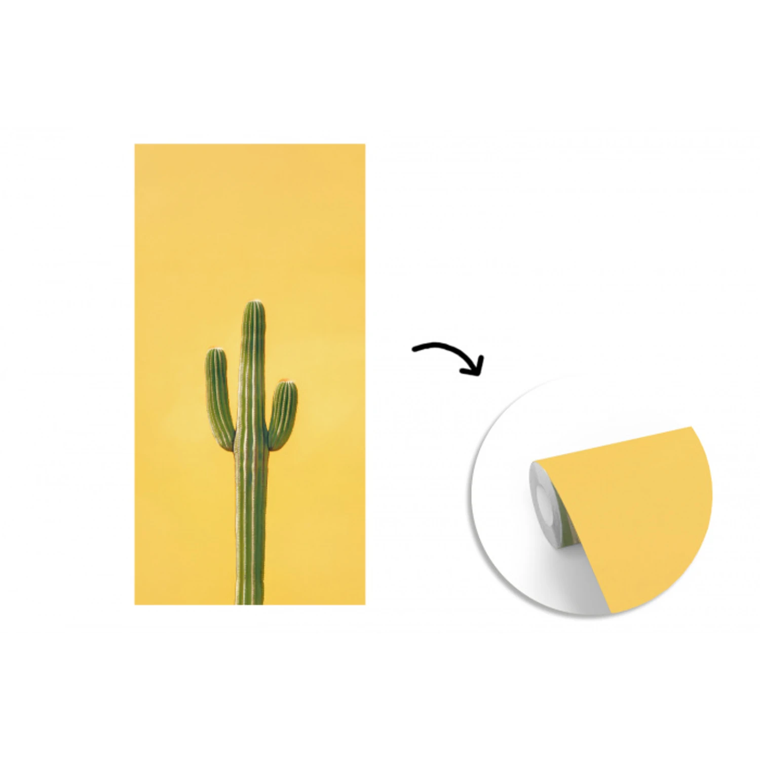 Cactus - Groen - Minimalistisch fotobehang vinyl groot -3d