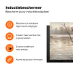Winterkoninkje - Tak - Rivier - Natuur - Sfeervol Inductie beschermer vinyl 3mm klein -zzzzzzz-td-ups