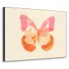 Oranje - Vlinder - Minimalistisch Textielframe zwart klein -3d